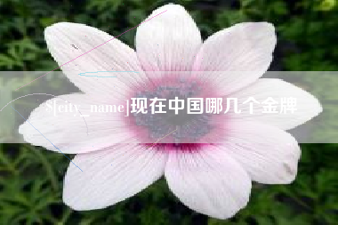 济南现在中国哪几个金牌