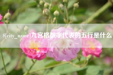 济南九宫格数字代表的五行是什么