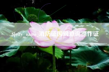 济南消防证国网查询操作证