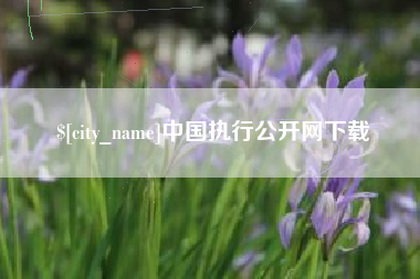 济南中国执行公开网下载