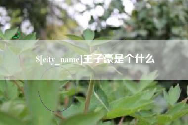 济南王子豪是个什么