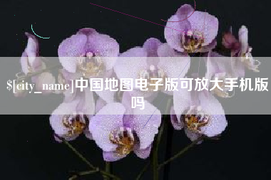 济南中国地图电子版可放大手机版吗