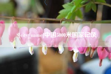 济南中国5000米国家记录