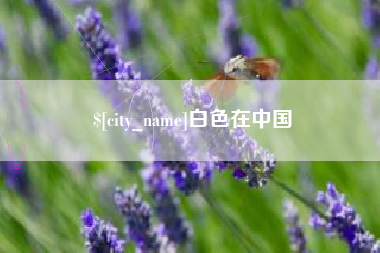 济南白色在中国