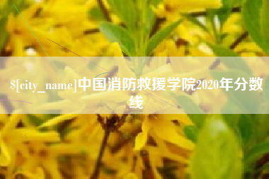 济南中国消防救援学院2020年分数线