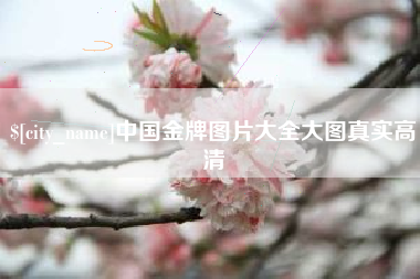 济南中国金牌图片大全大图真实高清