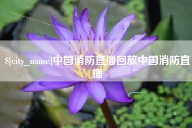 济南中国消防直播回放中国消防直播