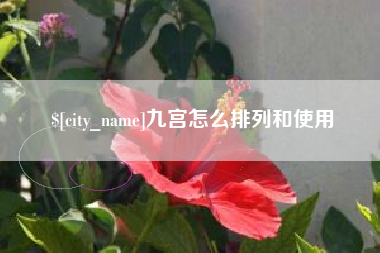 济南九宫怎么排列和使用