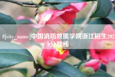 济南中国消防救援学院浙江招生2020分数线