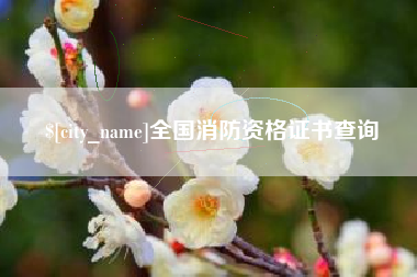 济南全国消防资格证书查询