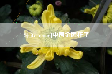 济南中国金牌样子