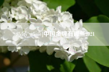 济南中国金牌有哪些2021