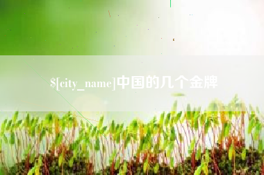 济南中国的几个金牌