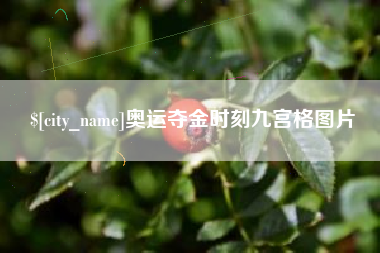济南奥运夺金时刻九宫格图片