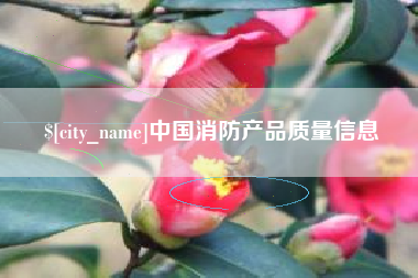 济南中国消防产品质量信息
