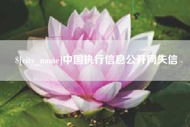 济南中国执行信息公开网失信