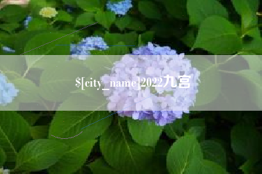济南2022九宫