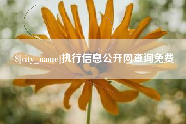 济南执行信息公开网查询免费
