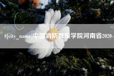 济南中国消防救援学院河南省2020